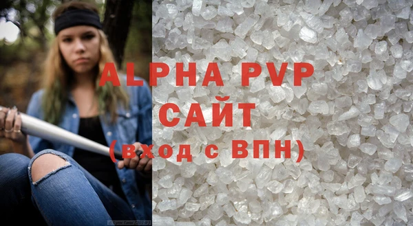 индика Гатчина