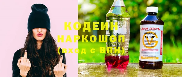 apvp Няндома