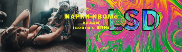apvp Няндома